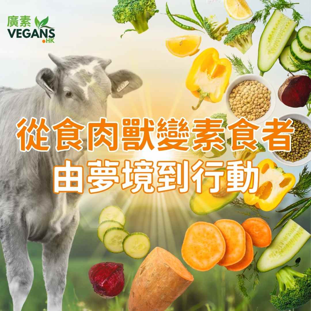 Vegans.HK 嘅誕生：從凍肉企業到純素生活嘅轉變